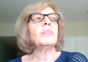 Captura de Luisa Bejar en conferencia sobre la nueva cámara de diputados