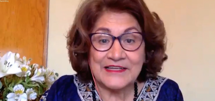 Captura de profesora hablando de enseñanza-aprendizaje
