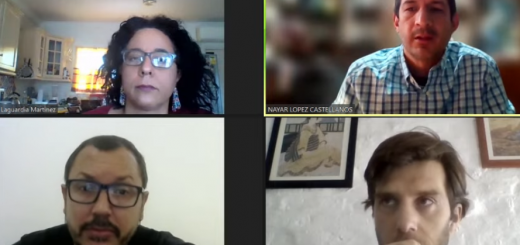 Especialistas en conferencia en línea examinando las secuelas de la pandemia en América Latina.
