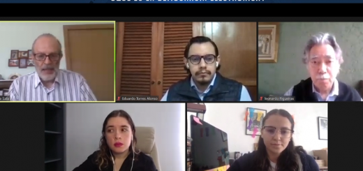 Captura de académicos hablando sobre democracia electrónica