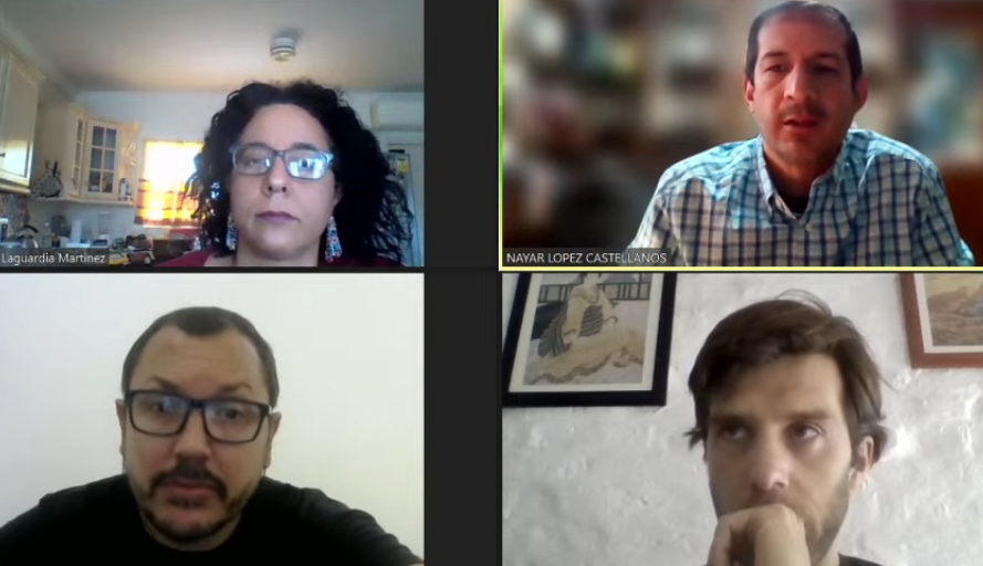 Especialistas en conferencia en línea examinando las secuelas de la pandemia en América Latina.