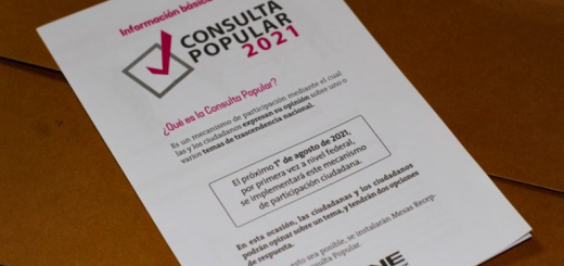 Hoja informativa sobre la consulta popular 2021